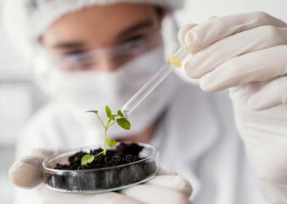 Desarrollo Biotecnológico