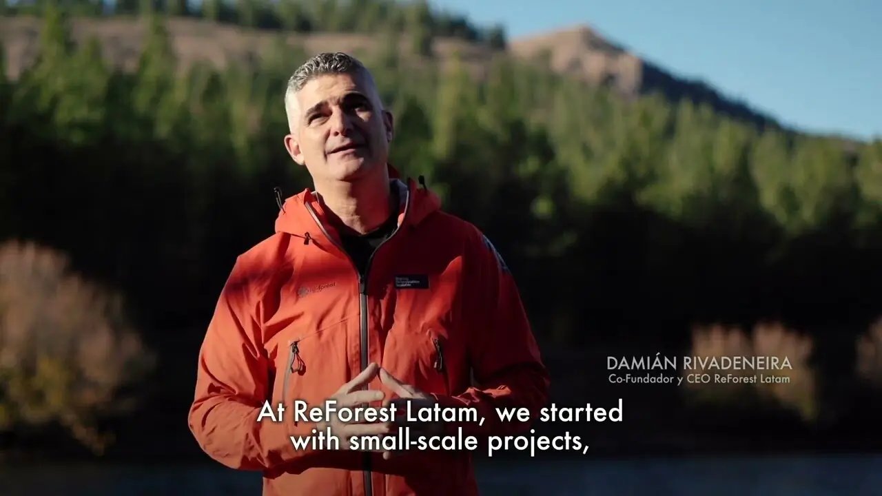 Integrante del equipo caminando por el bosque del Parque Nacional Lanín