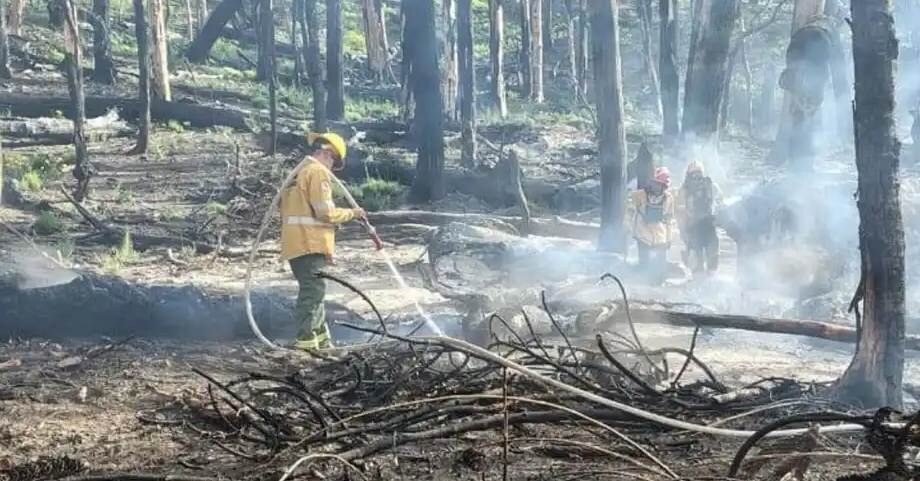 Brigadistas sofocando el fuego en el bosque andino-patagónico